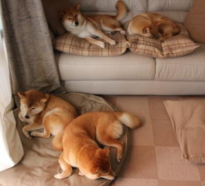 爱游戏娱乐-银石赛道惊雷，秩序的挑战者