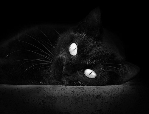 爱游戏入口-孤帆破浪，当银箭如潮席卷，唯有阿隆索如山脊挺立