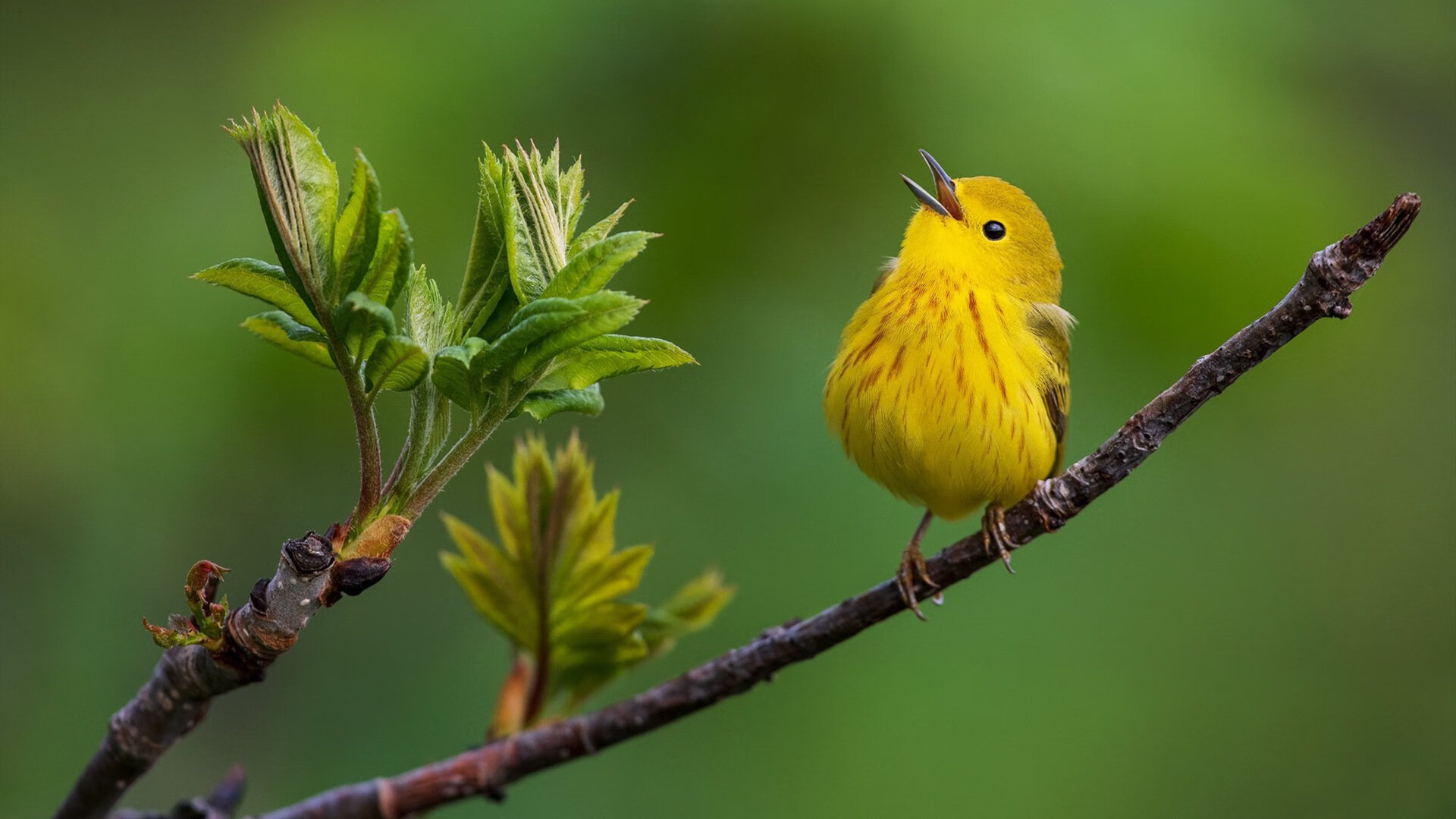 爱游戏大厅-双重奏，当安赛龙的史诗照亮中国队的完胜