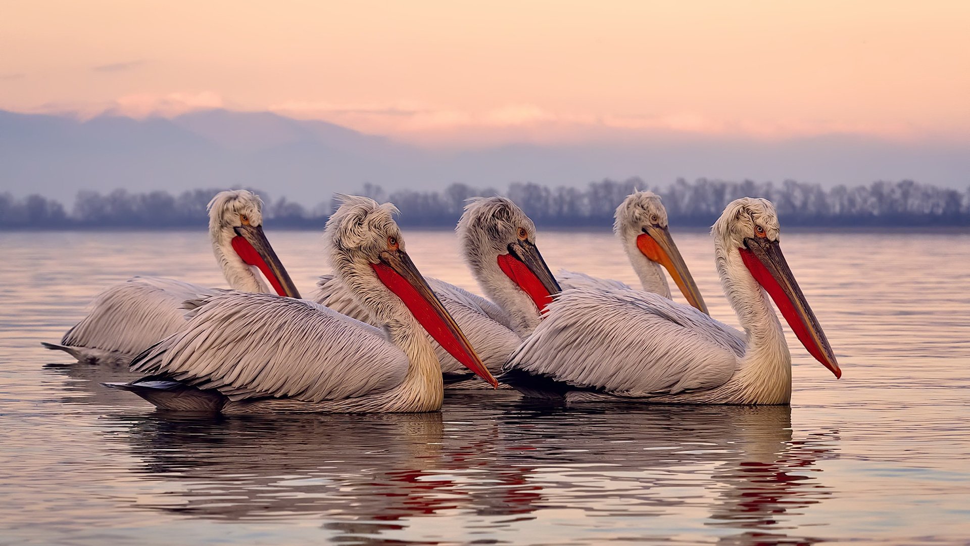 苏式铁骑冷雨夜碾过津门，高诗岩斩落30+令天津防线溃不成堤
