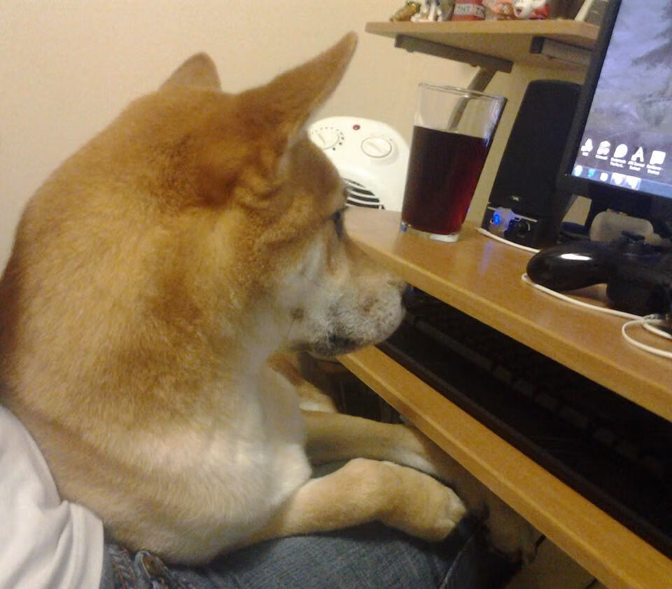 爱游戏入口-破碎的羽翼，辛杜利剑如何刺穿中国军团不败神话