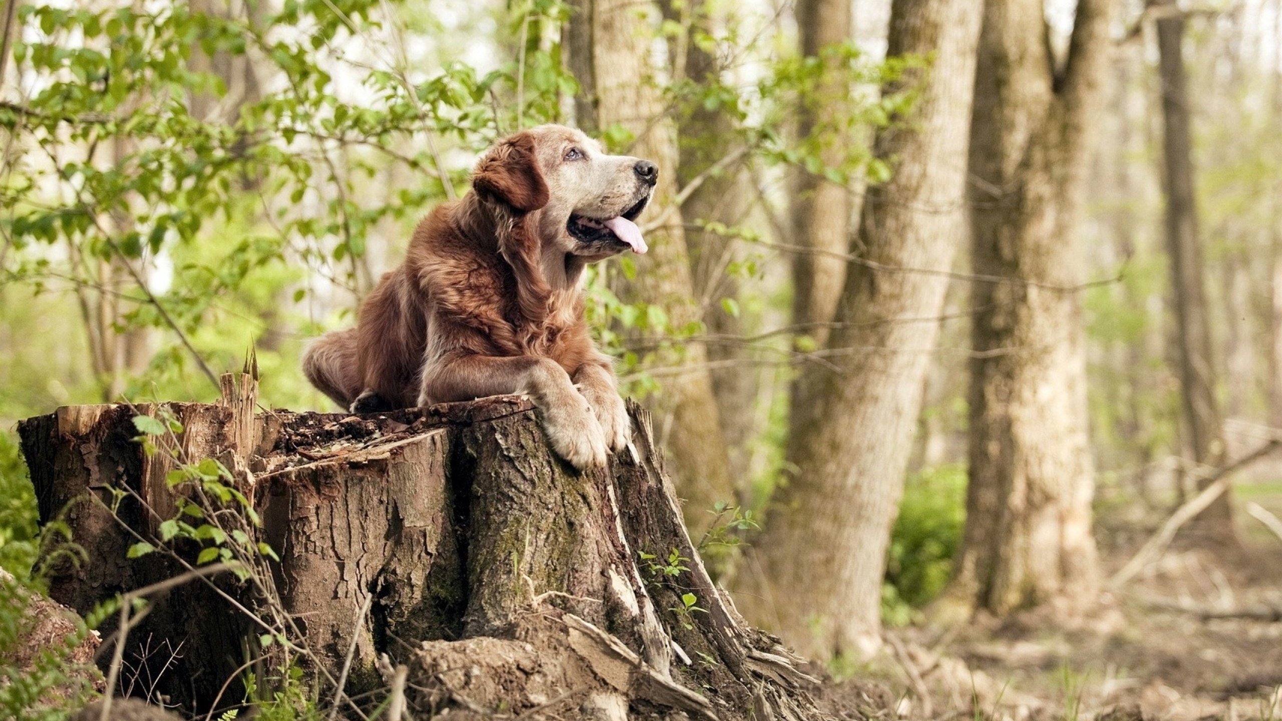 爱游戏官方入口-从1-0到2-1，当格子军团的铁血，刺穿了青春风暴的梦幻—孔德，那个将历史改写于瞬间的沉默英雄