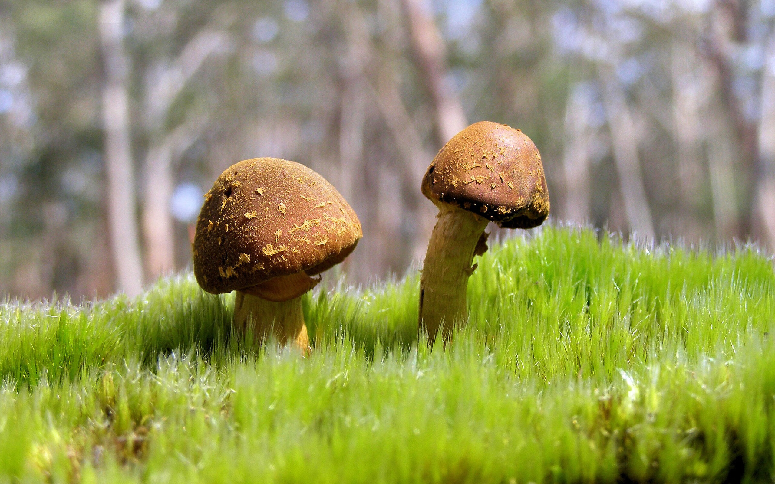 爱游戏大厅-绝杀英雄！努涅斯力挽狂澜，大黄蜂读秒惊魂