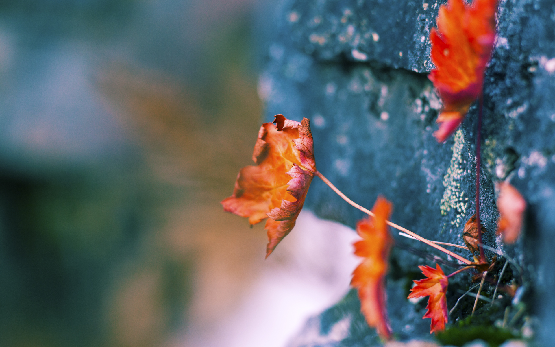离群索居者，或为大场面而生，东决夜英格拉姆的孤独与燃烧
