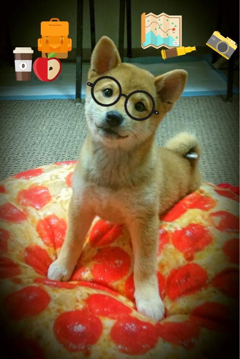 当稳定输出遇见一波流,蒂亚戈的孤独凯歌与安哥拉的团队风暴