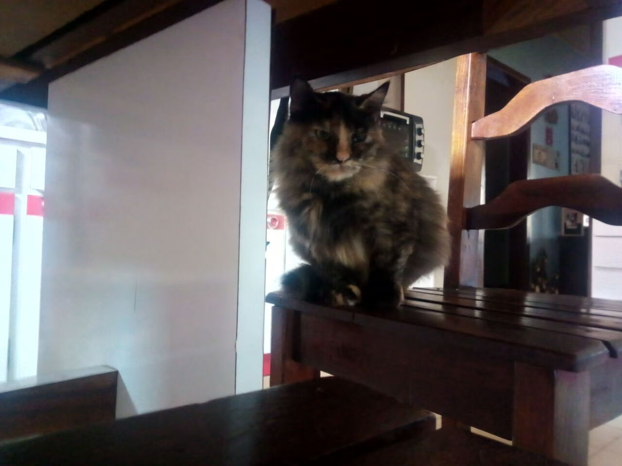 爱游戏在线-罗德里戈封神一夜，独舞撕裂蓝白，将梅西的身影裁成黎明