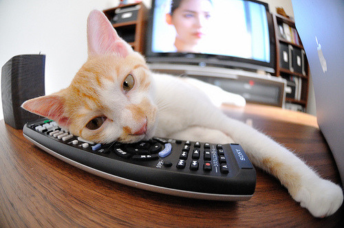 冰与火之歌，当吉林东北虎迎战迈阿密热火