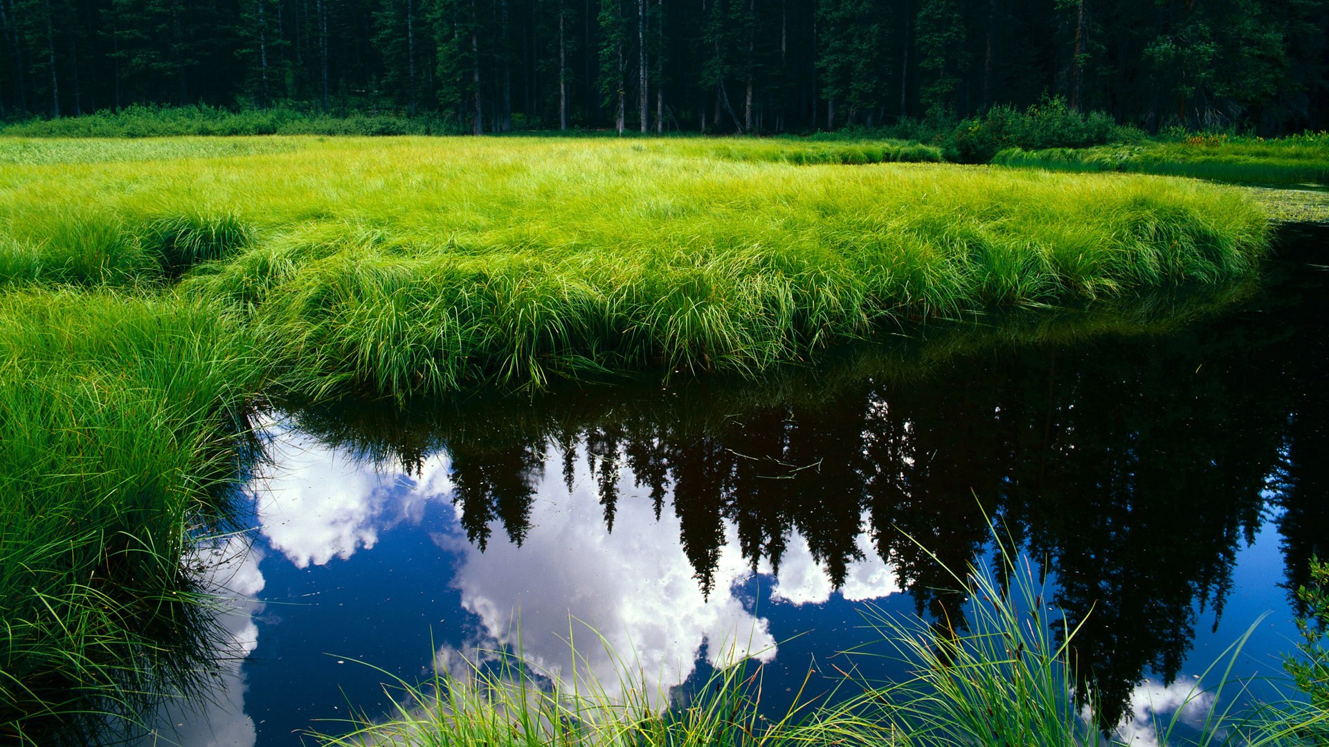 爱游戏官方入口-唯一镜像之战，当英格拉姆在另一个维度的中国赛完成终极进化