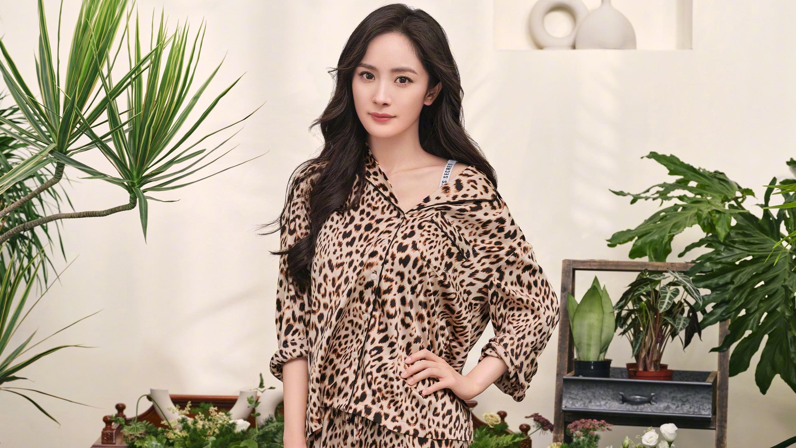 欧冠决赛与CBA霸主之间,横着一场跨维度的勇士法则