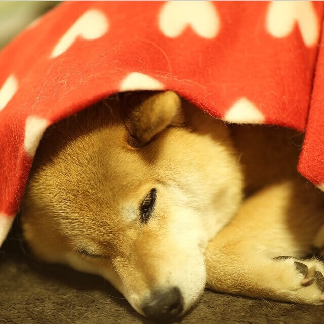 当第四节终归来临,保罗的里程碑与开拓者的时间魔法