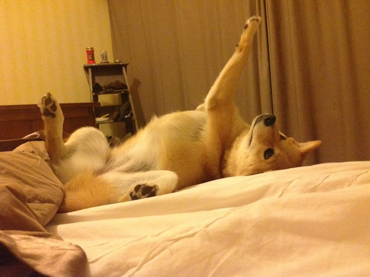 救赎与收割，恩比德冲破心魔，纽约铁蹄踏碎雷霆