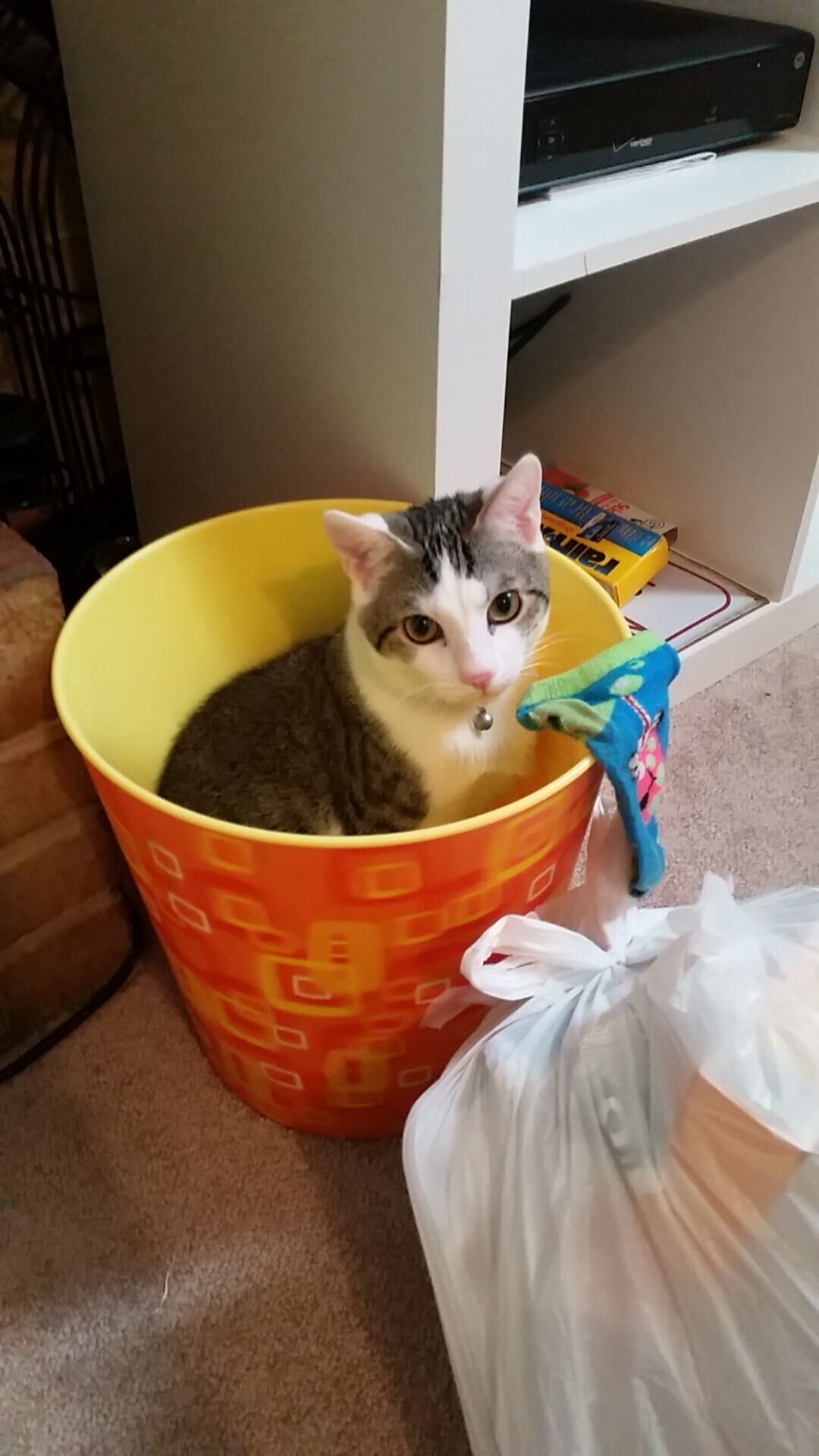 爱游戏入口-西决生死夜，当奇迹缺席时，约基奇以凡人之躯完成救赎