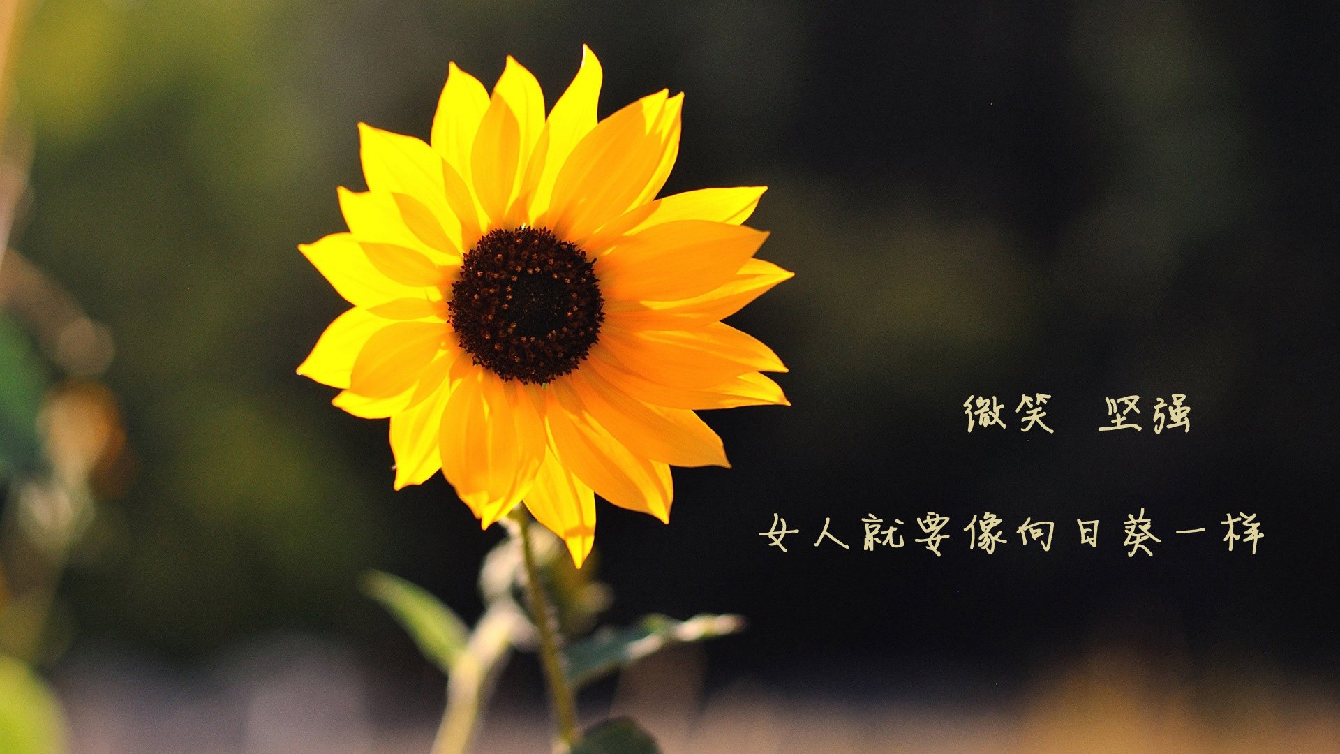 构思