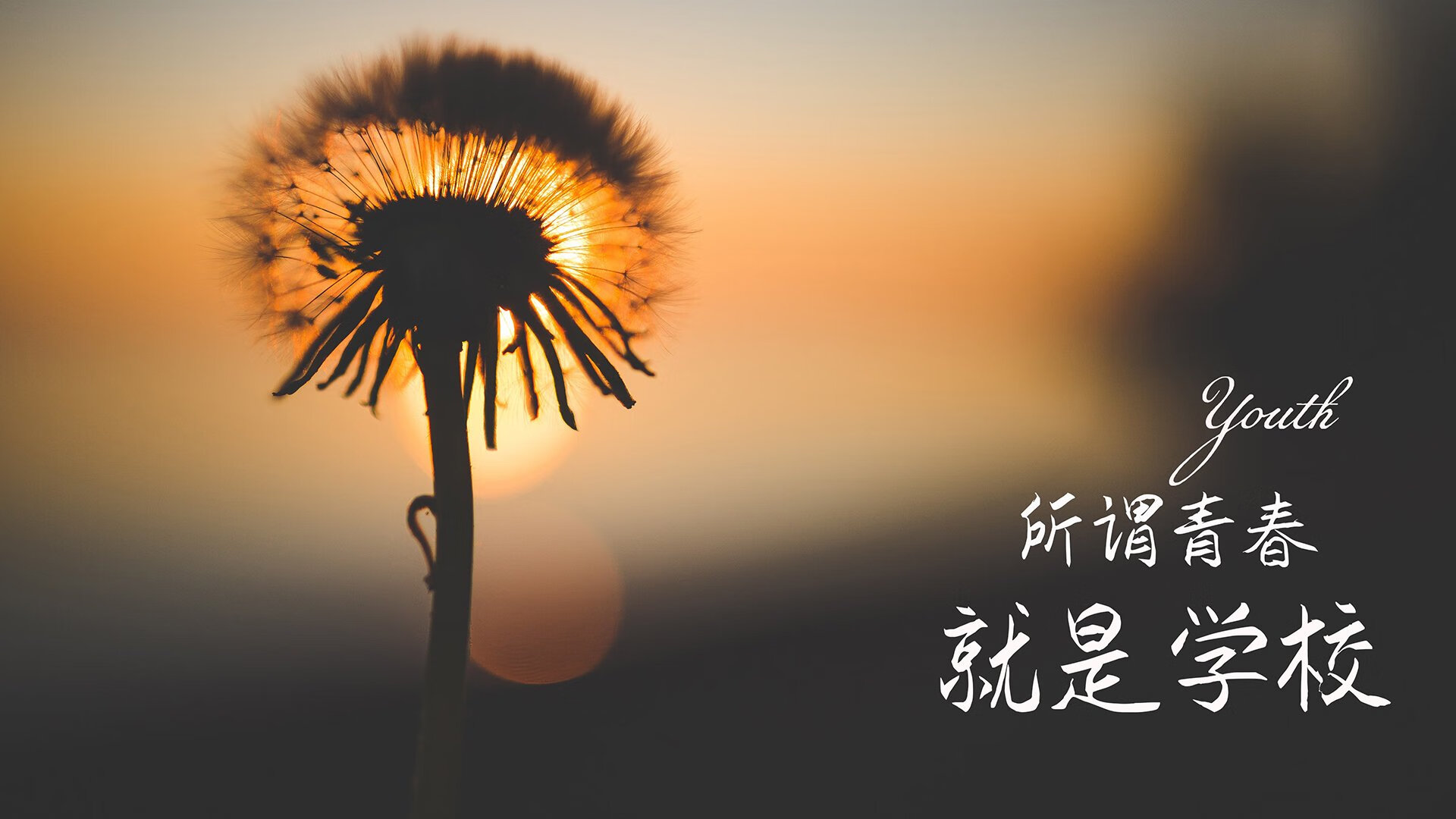 爱游戏体育-一瞬定乾坤，德布劳内绝杀，韩国爆冷完胜美国，美加墨世界杯上演最意外焦点战