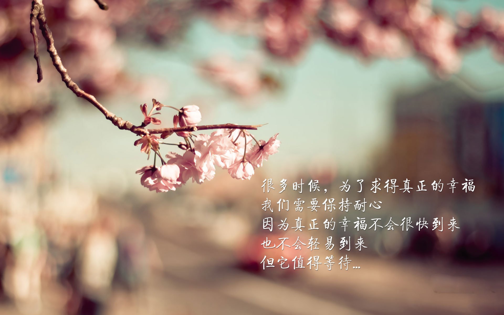 爱游戏-鏖战卢赛尔，当C罗的坚韧遇上加维的锋芒，一场定乾坤的史诗对决