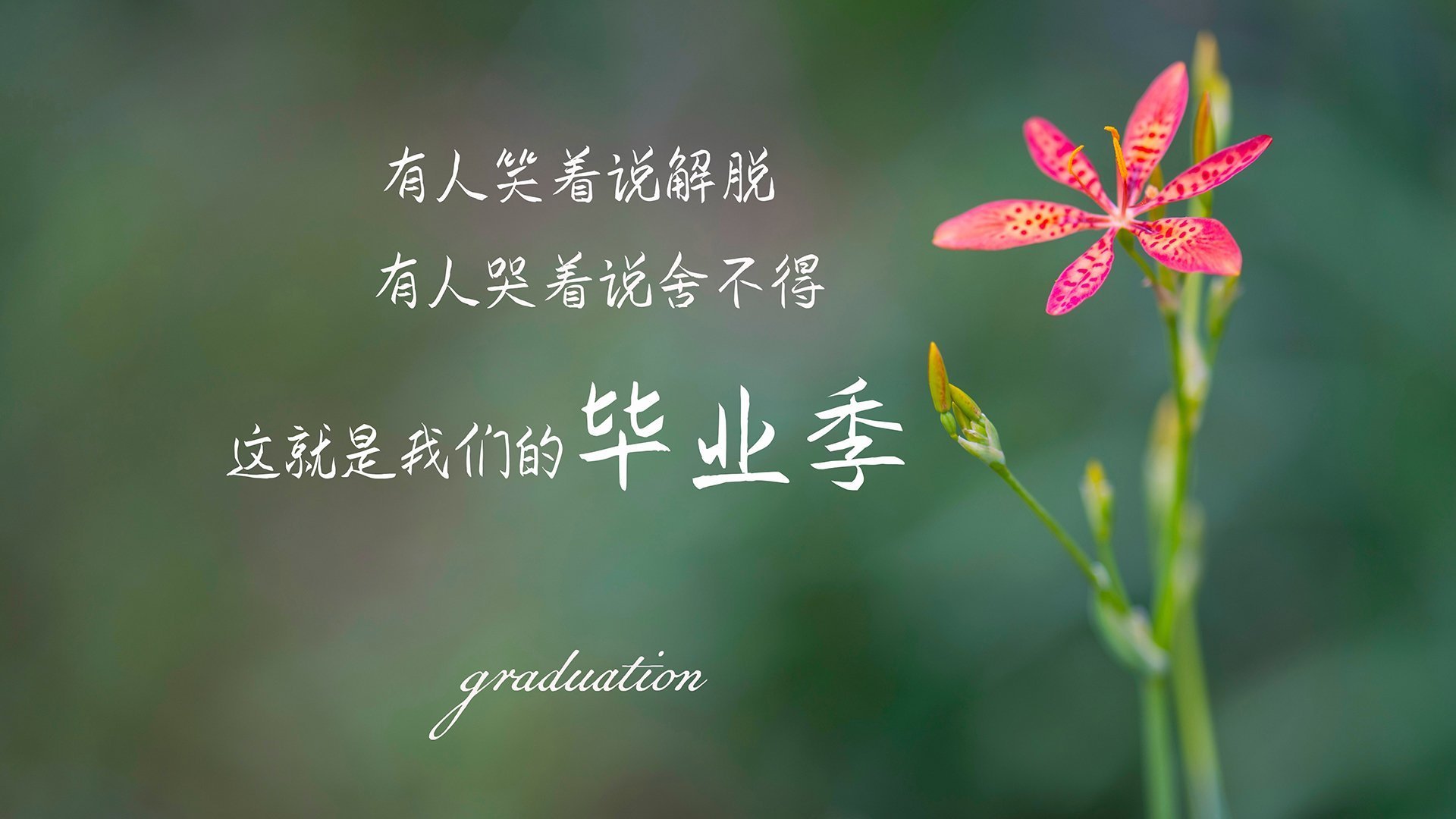 爱游戏娱乐-德黑兰之夜，当巴西的桑巴在波斯铁骑面前奏响绝唱—记2026世界杯H组一场关乎生死的赌局
